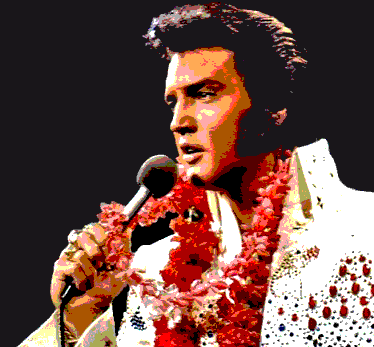 The Elvis Festival