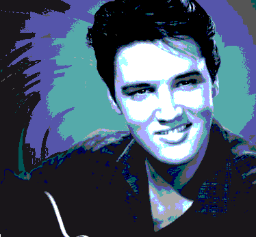 The Elvis Festival